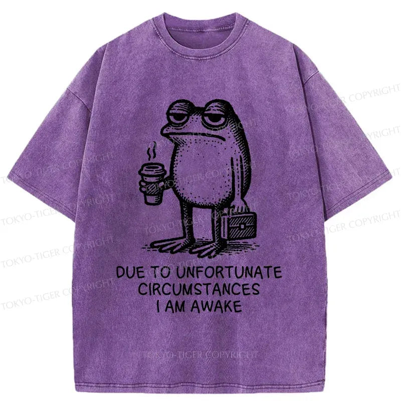 Decadent Frog Washed T-Shirt for Men