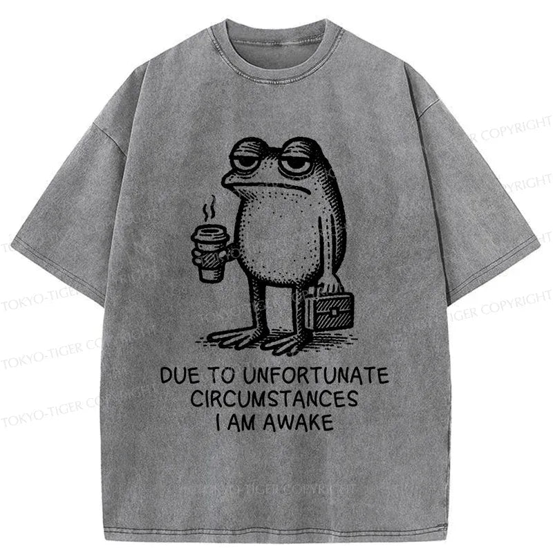 Kyoto-Lion Decadent Frog Washed T-Shirt