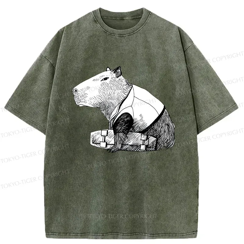 Kyoto-Lion Funny Capybara Skateboard Washed T-Shirt