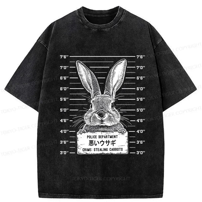 Vintage Japanese Rabbit Tee for Summer