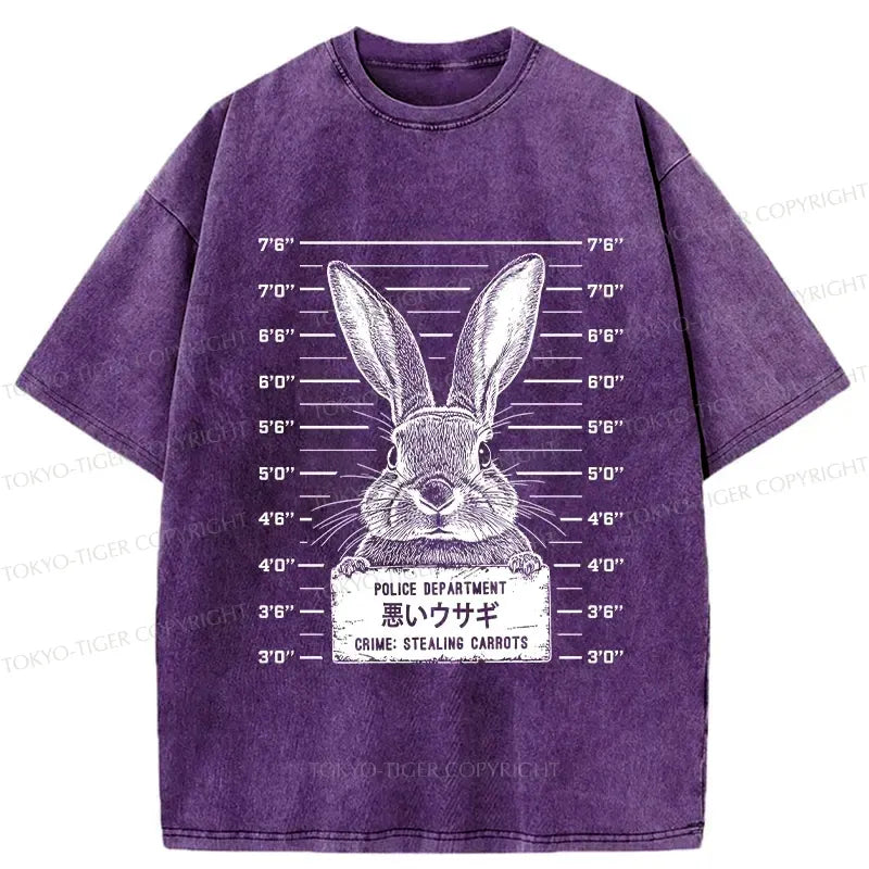 Japanese Rabbit Washed T-Shirt for Daily Wear