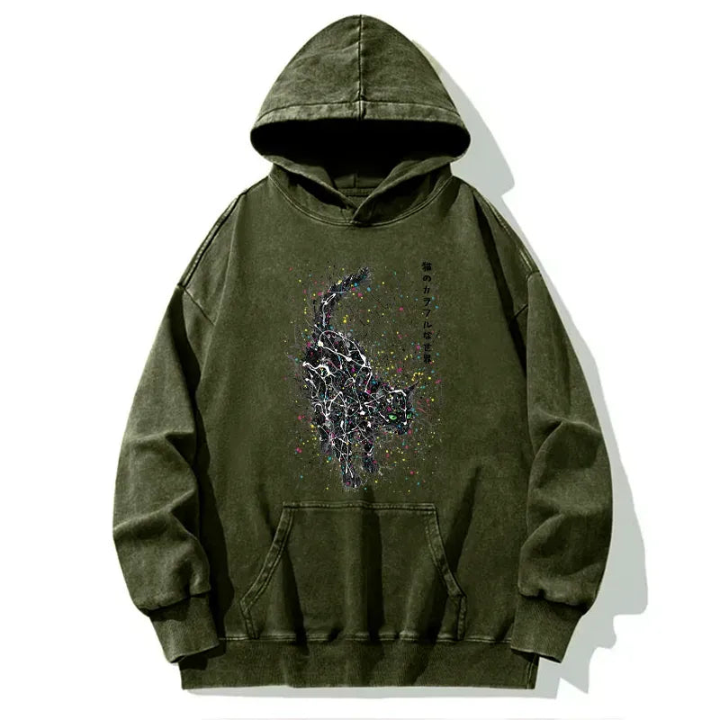 Kyoto-Lion In The Spectrum Of Cats Washed Hoodie