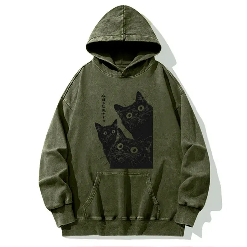 Kyoto-Lion Three Cats Are Watching You Today Washed Hoodie