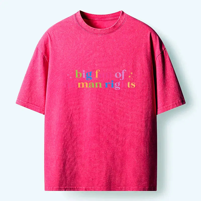 Kyoto-Lion Human Right Washed T-Shirt