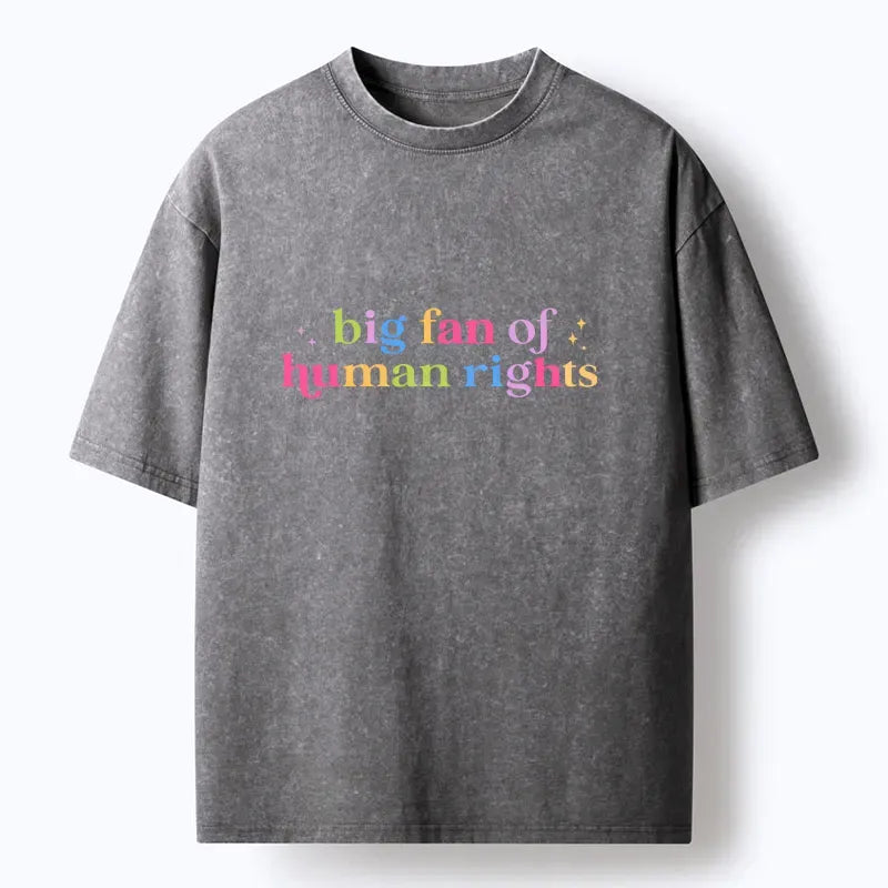 Kyoto-Lion Human Right Washed T-Shirt