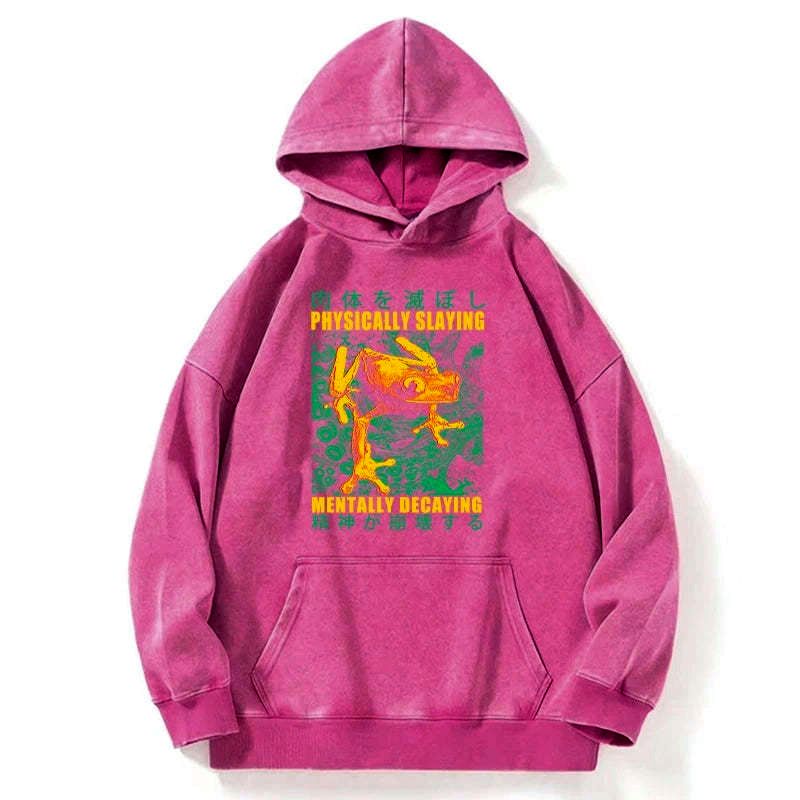 Kyoto-Lion Physically Slaying Mentally Decaying Washed Hoodie