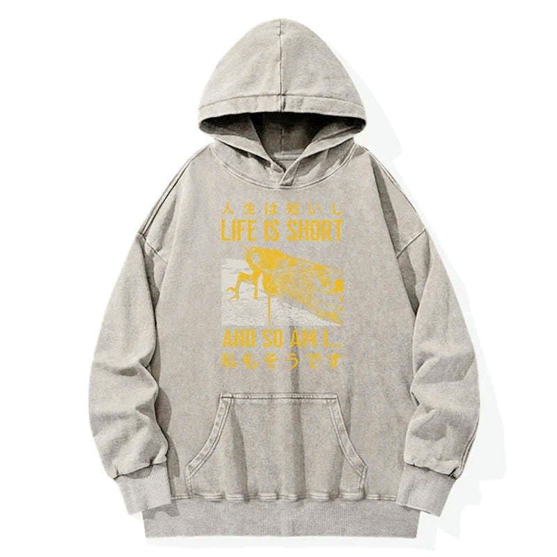 Kyoto-Lion A Grasshopper With A Short Life Washed Hoodie