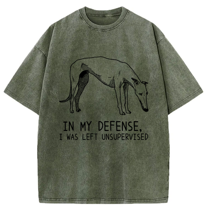 Kyoto-Lion Unsupervised Doggo Washed T-Shirt