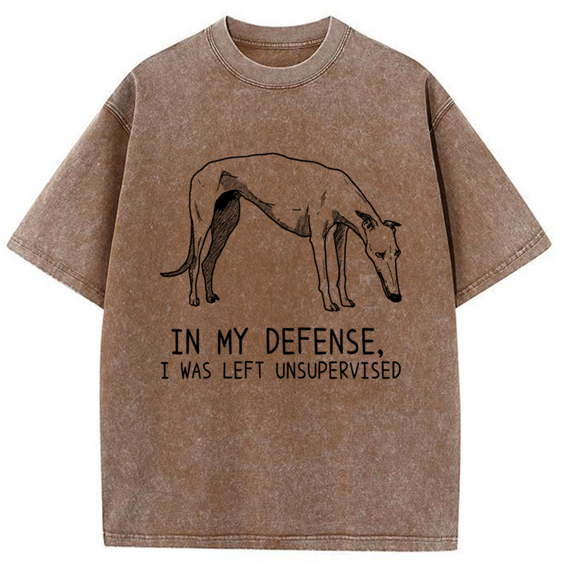Japanese washed t-shirt for daily wear