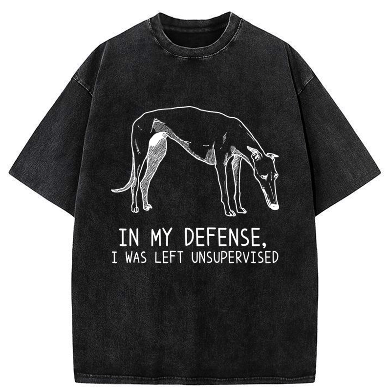 Japanese washed t-shirt for daily wear