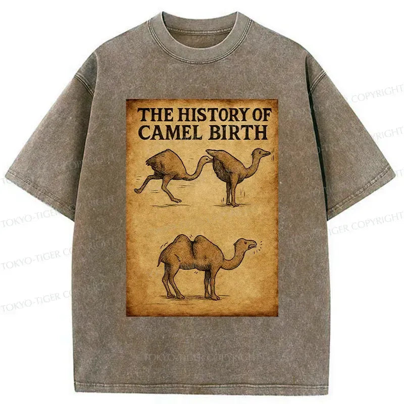 Vintage unisex cotton tee from Kyoto-Lion