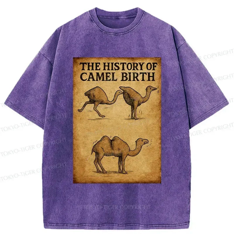 Japanese washed t-shirt for streetwear
