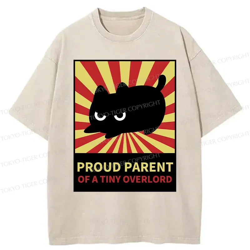 japanese vintage washed t-shirt for daily wear