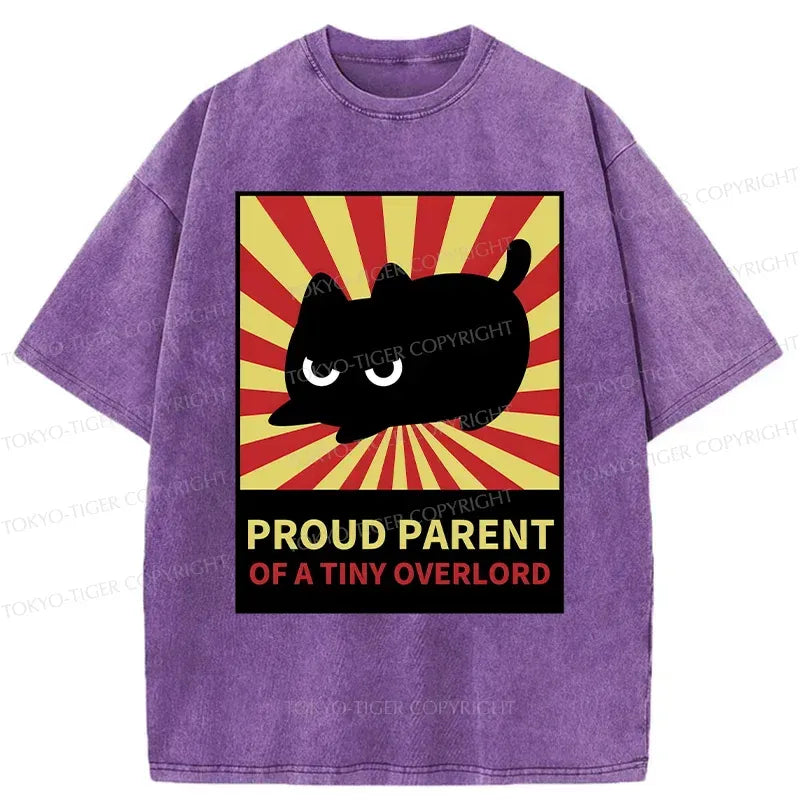 japanese vintage washed t-shirt for daily wear