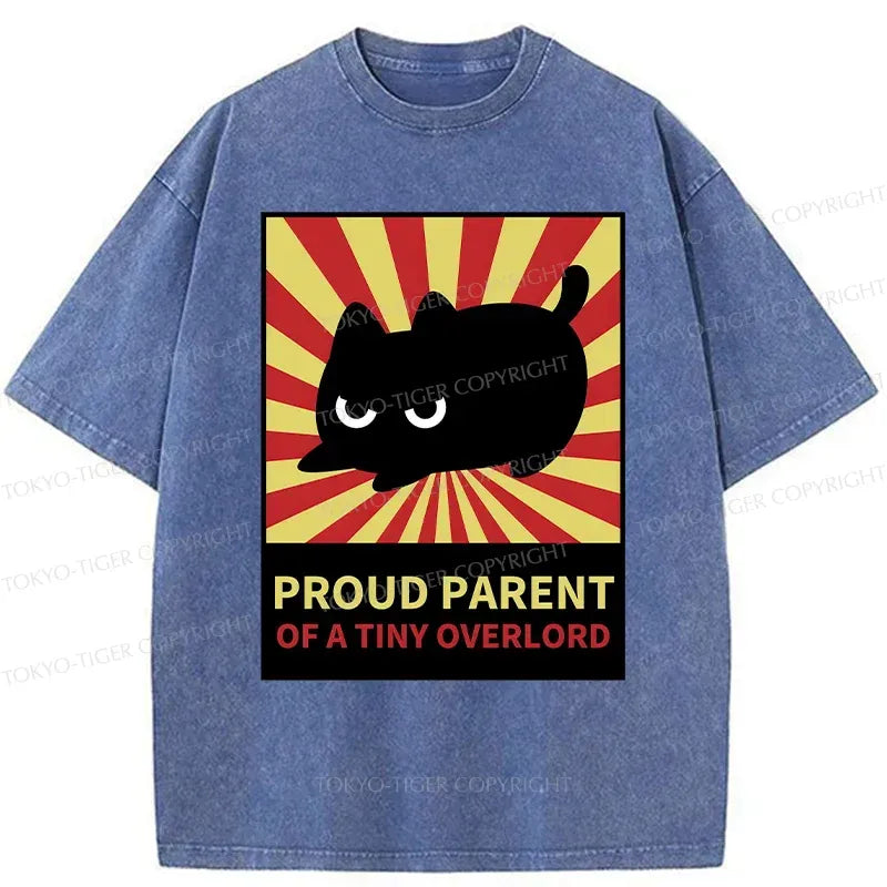 japanese vintage washed t-shirt for daily wear