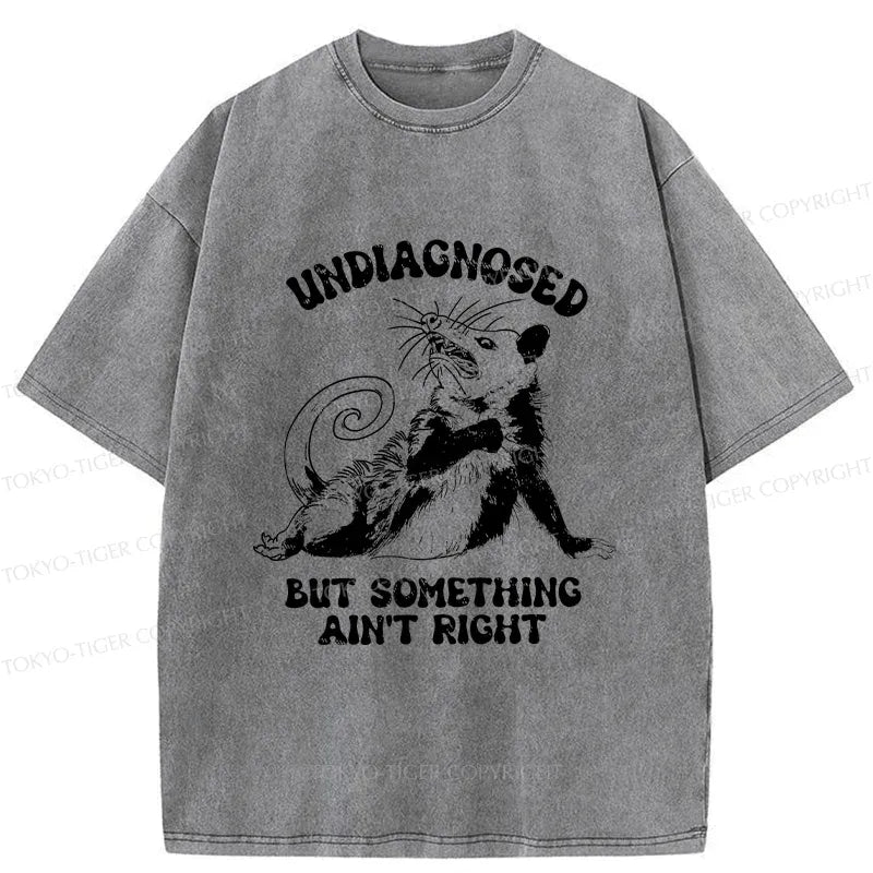 Japanese Vintage Opossum T-Shirt