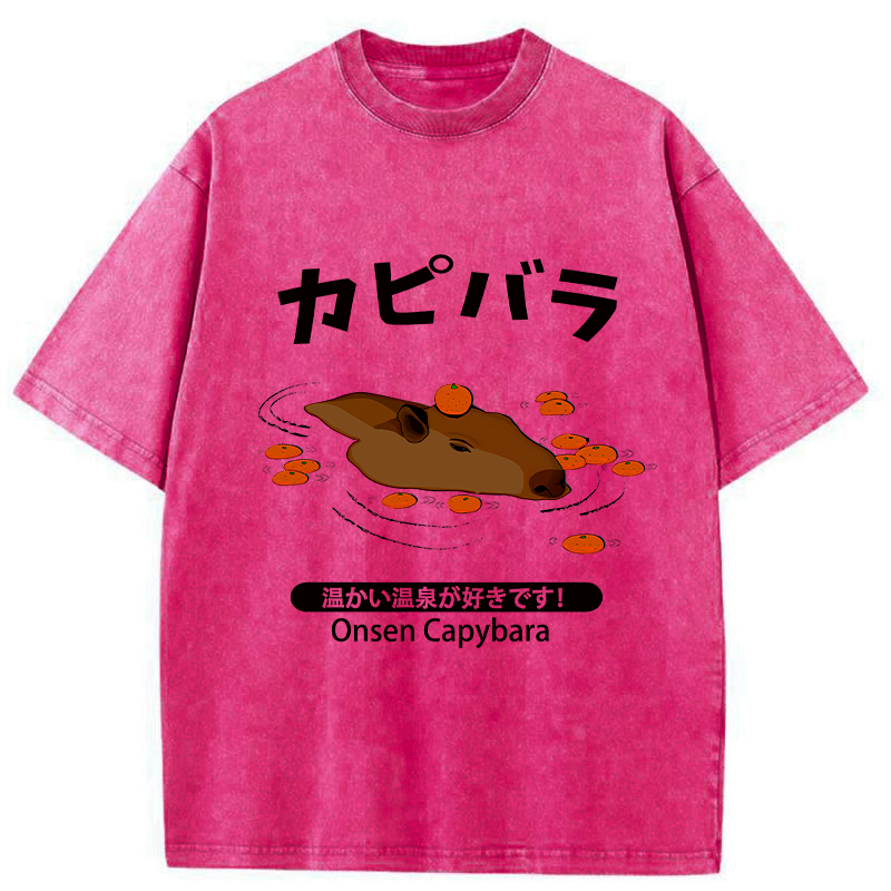 washed capybara unisex tee gift idea