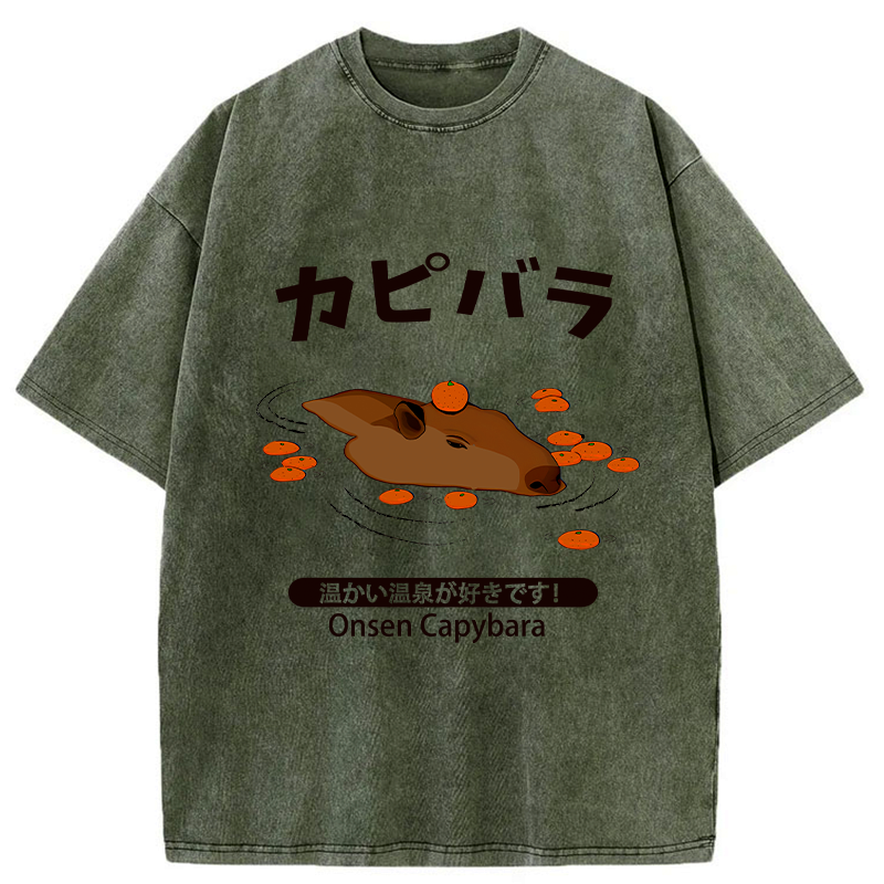 washed capybara unisex tee gift idea
