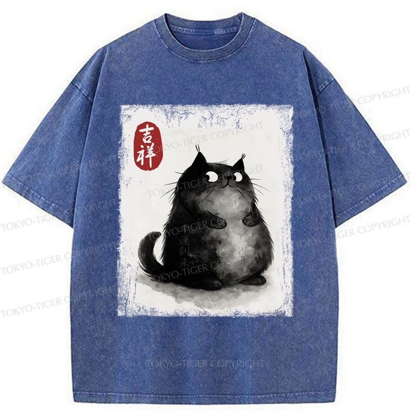 auspicious black cat washed t-shirt