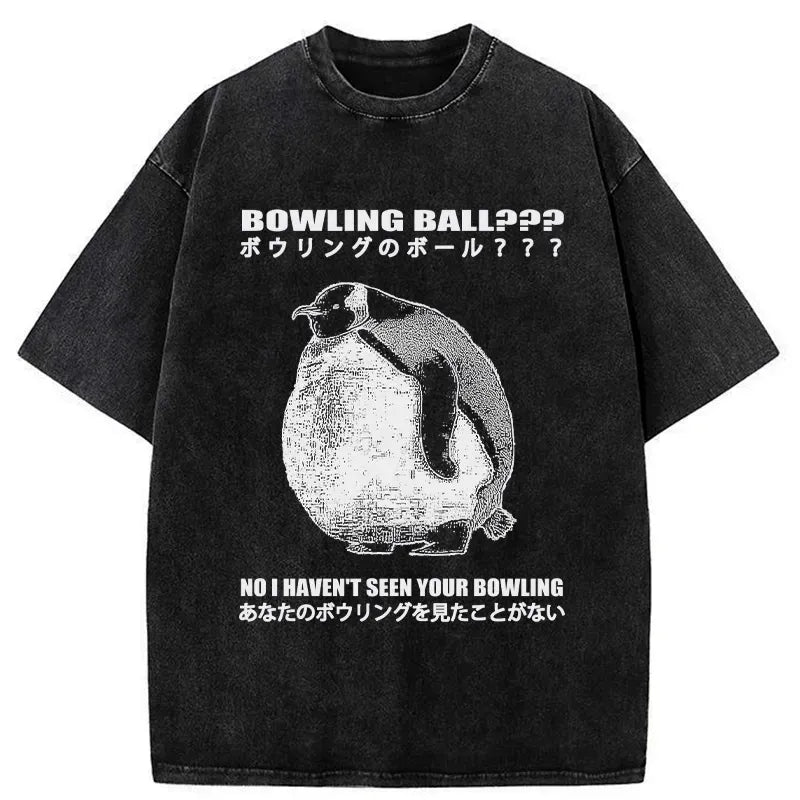 kyoto lion washed t-shirt for daily wear