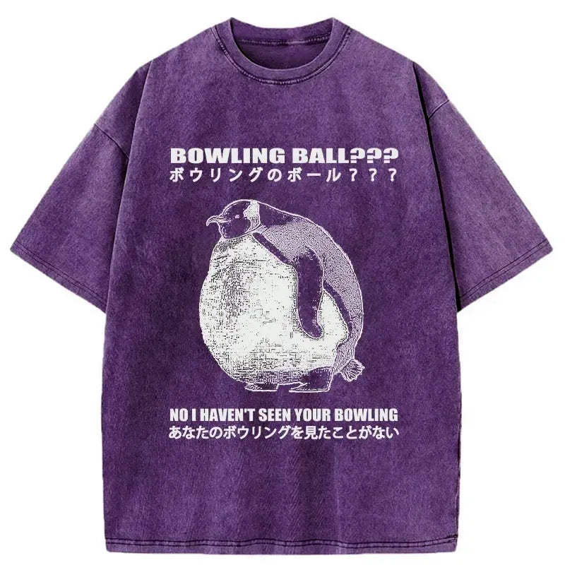 kyoto lion washed t-shirt for daily wear