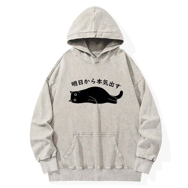 Funny Japanese Lion Hoodie Trending for Streetwear