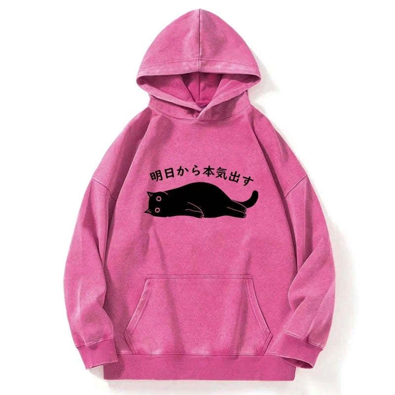Kyoto-Lion I'm Going To Get Serious Tomorrow Washed Hoodie