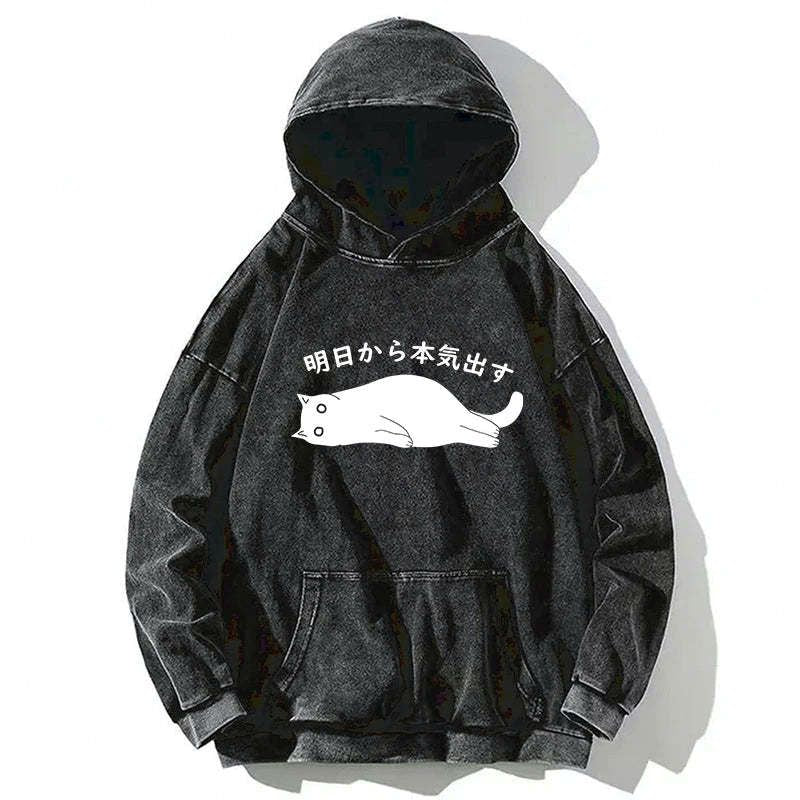Japanese Kyoto Lion Washed Hoodie for Daily Wear
