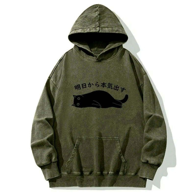 Japanese Kyoto Lion Washed Hoodie for Daily Wear