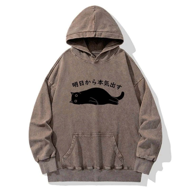 Washed Unisex Hoodie with Japanese Lion Print