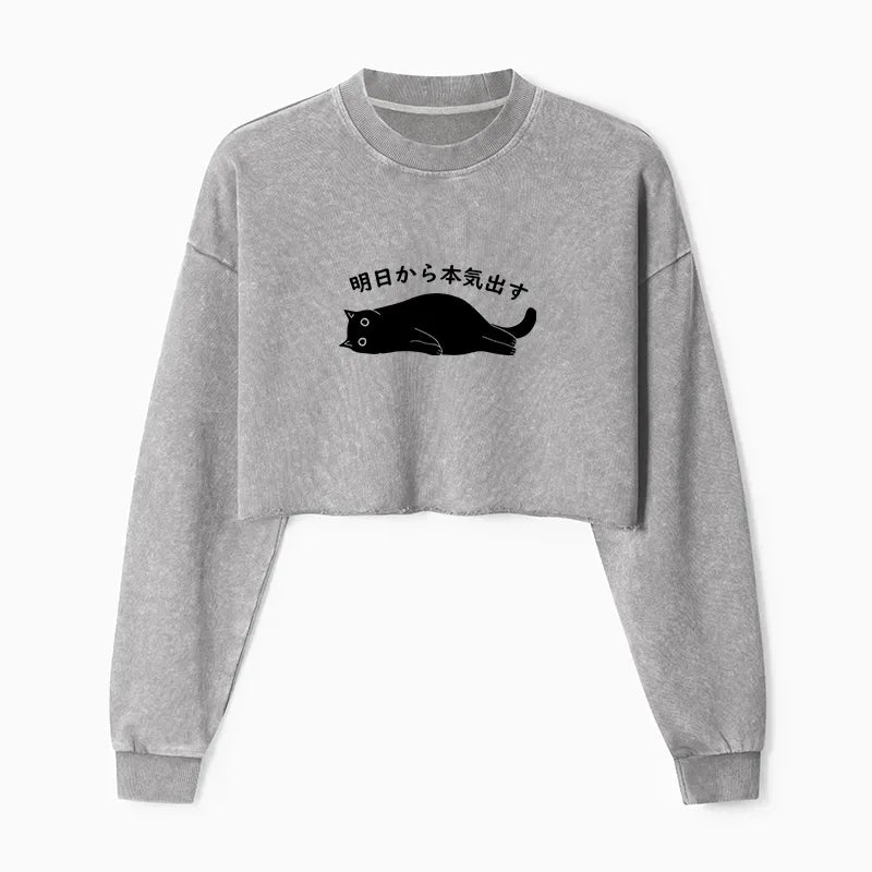 Trendy Japanese Crop Sweatshirt for Daily Wear