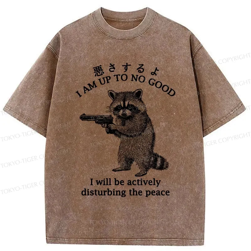 Kyoto Lion Raccoon T-Shirt Gift for Him