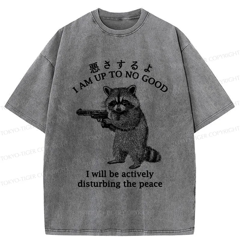 Japanese Raccoon Washed T-Shirt for Men