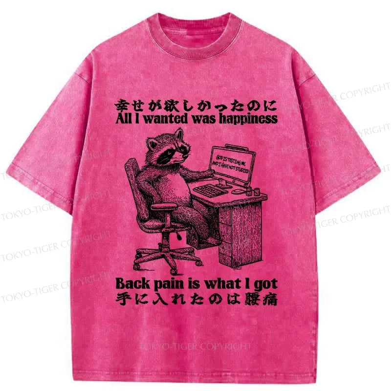 Kyoto-Lion All I Wanted Was Happiness Washed T-Shirt
