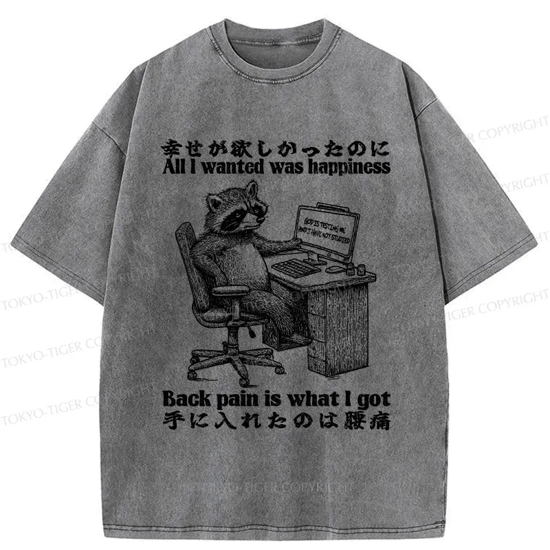 Kyoto-Lion All I Wanted Was Happiness Washed T-Shirt