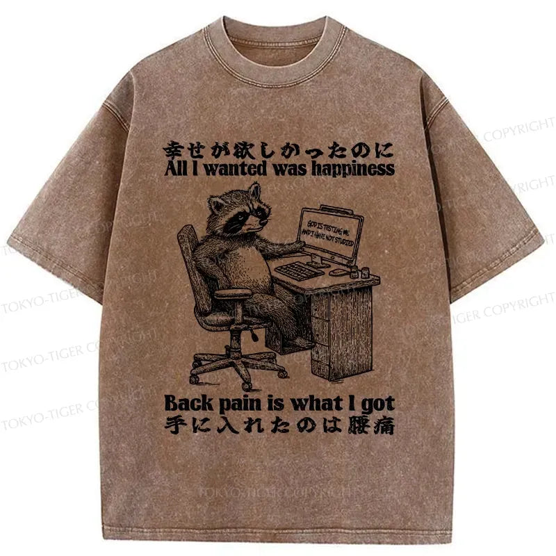 Kyoto-Lion All I Wanted Was Happiness Washed T-Shirt