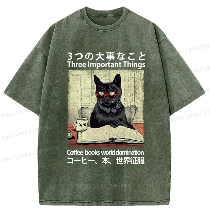 Kyoto-Lion Three Important Things About Cat Washed T-Shirt
