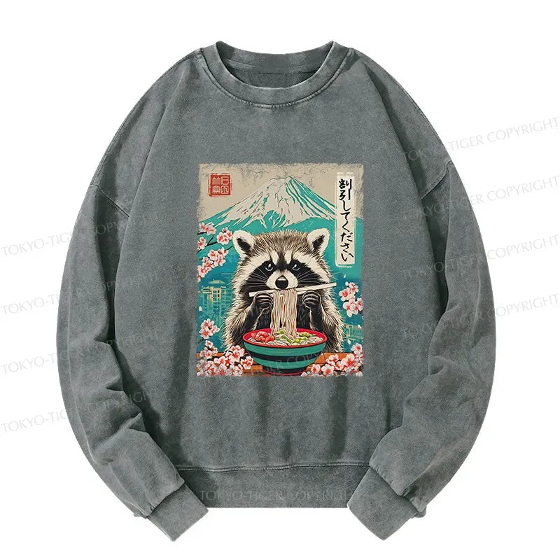 Raccoon Discount Sweatshirt for Vacation