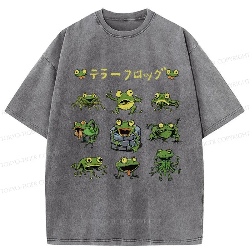 Kyoto-Lion Washed T-Shirt for Daily Wear