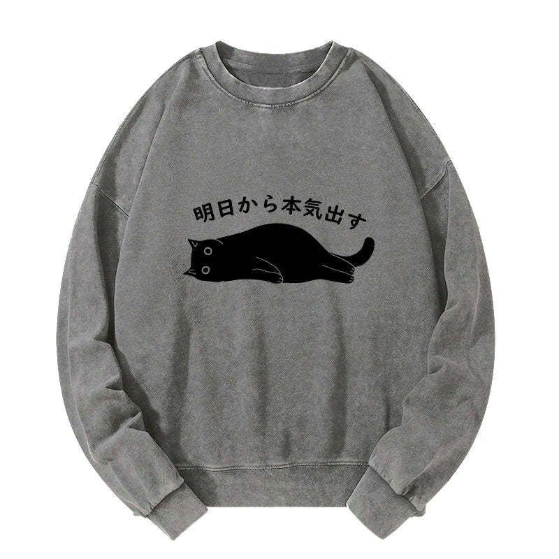 Kyoto-Lion I'm Going To Get Serious Tomorrow Washed Sweatshirt