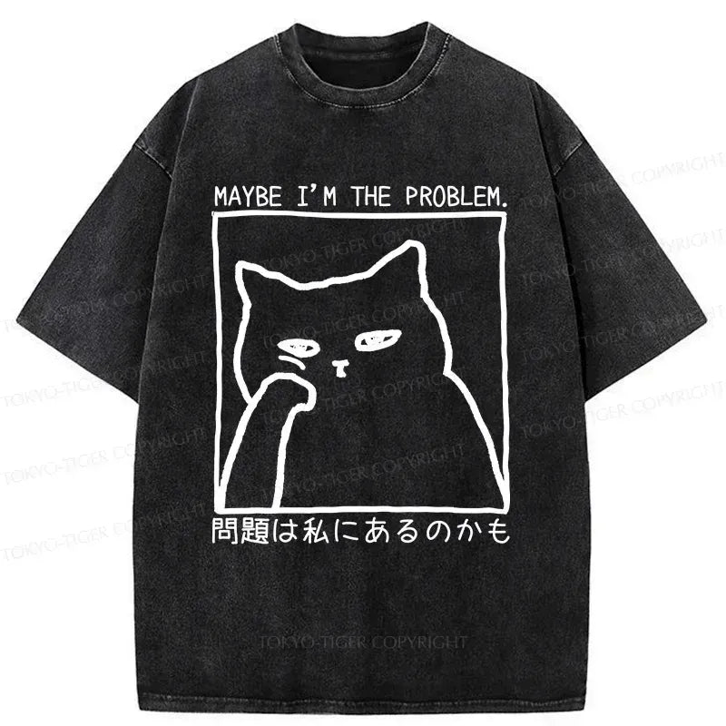 Kyoto-Lion Cat Is Doubting Itself Washed T-Shirt