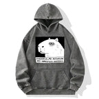 Kyoto Lion Washed Hoodie On Sale