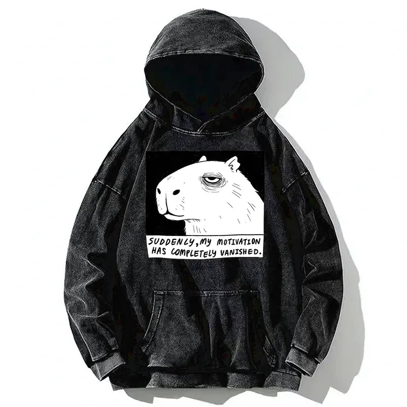 Kyoto-Lion Power Has Completely Disappeared Washed Hoodie