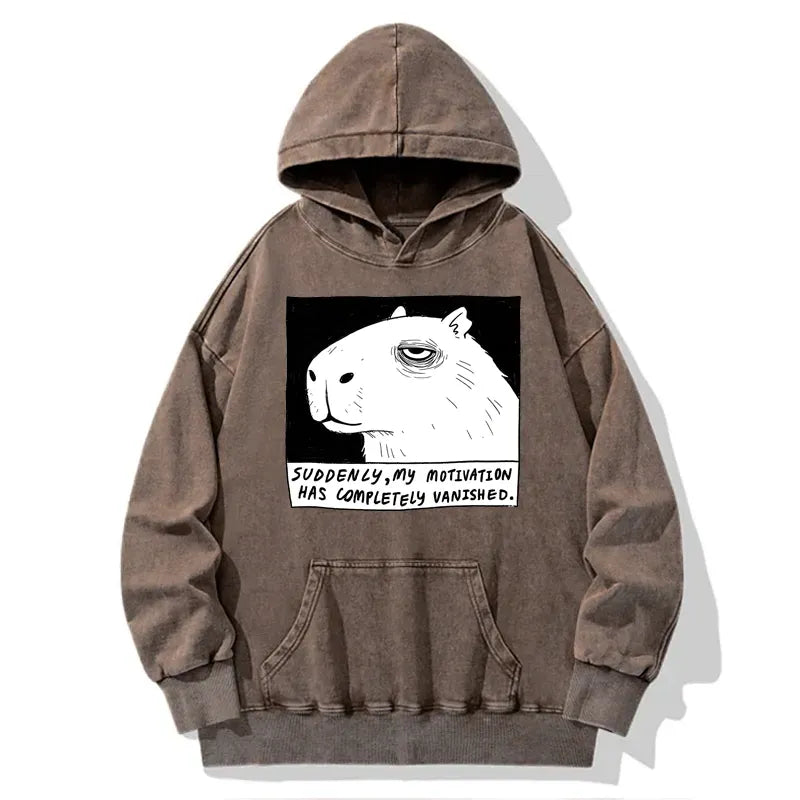 Kyoto-Lion Power Has Completely Disappeared Washed Hoodie