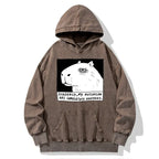 Kyoto-Lion Power Has Completely Disappeared Washed Hoodie