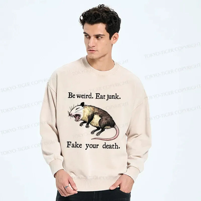 Kyoto-Lion Possum Playing Dead Washed Sweatshirt
