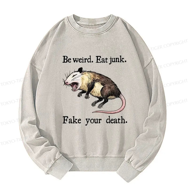 Kyoto-Lion Possum Playing Dead Washed Sweatshirt