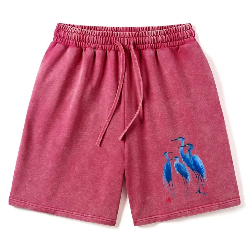 Unisex Cotton Shorts with Free Shipping
