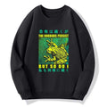 Kyoto Lion Japanese Sweatshirt for Daily Wear