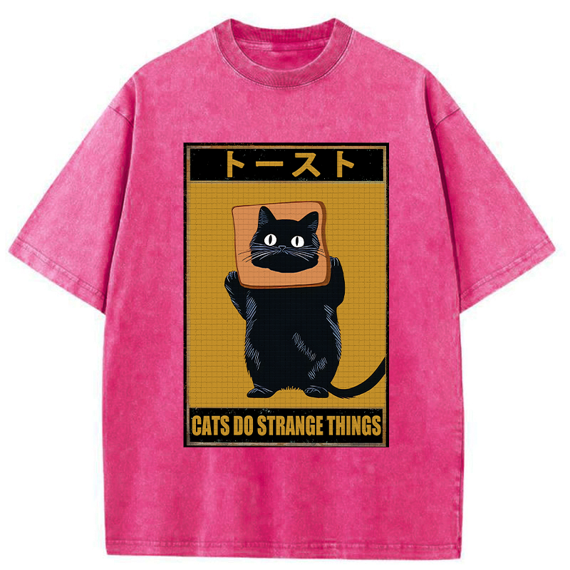 Kyoto-Lion Toast Black Cat Washed T-Shirt